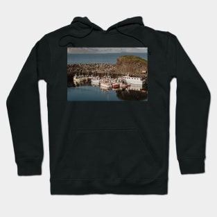 boats in the harbor of the port Hoodie